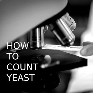  How to count yeast