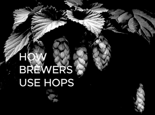  How Brewers Use Hops