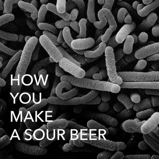  How you make a sour beer
