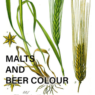  Malts and Beer Colour