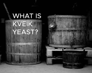  What is Kveik yeast?
